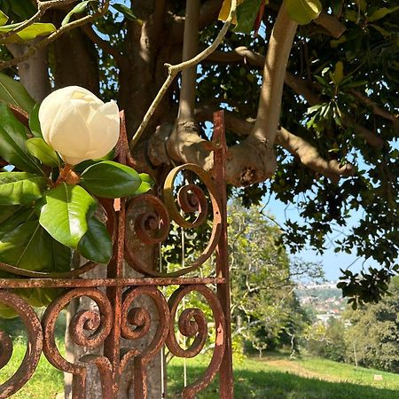 Domaine De La Tisnere Bed & Breakfast Gelos Dış mekan fotoğraf