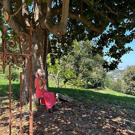 Domaine De La Tisnere Bed & Breakfast Gelos Dış mekan fotoğraf